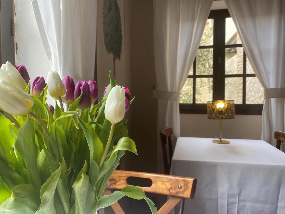La Vieille Demeure Hotel Torreilles Kültér fotó