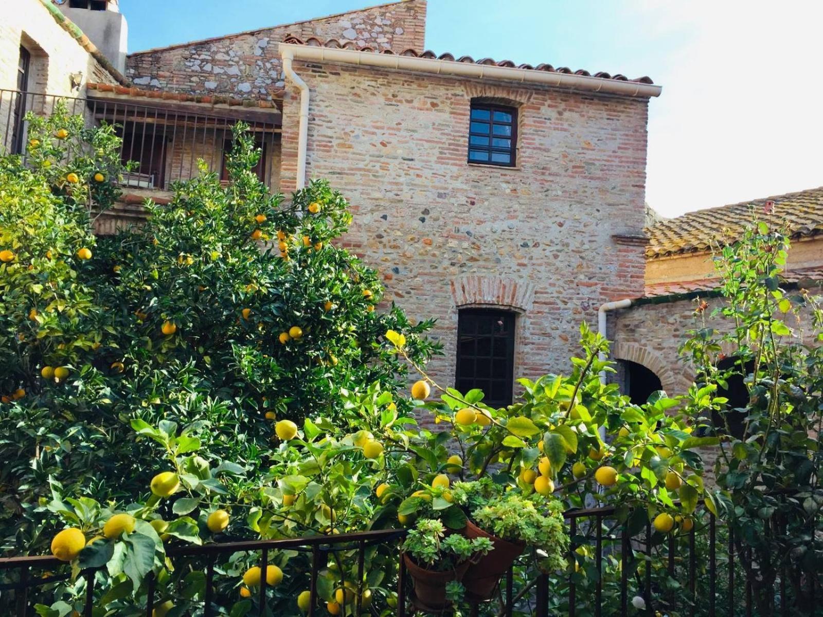 La Vieille Demeure Hotel Torreilles Kültér fotó
